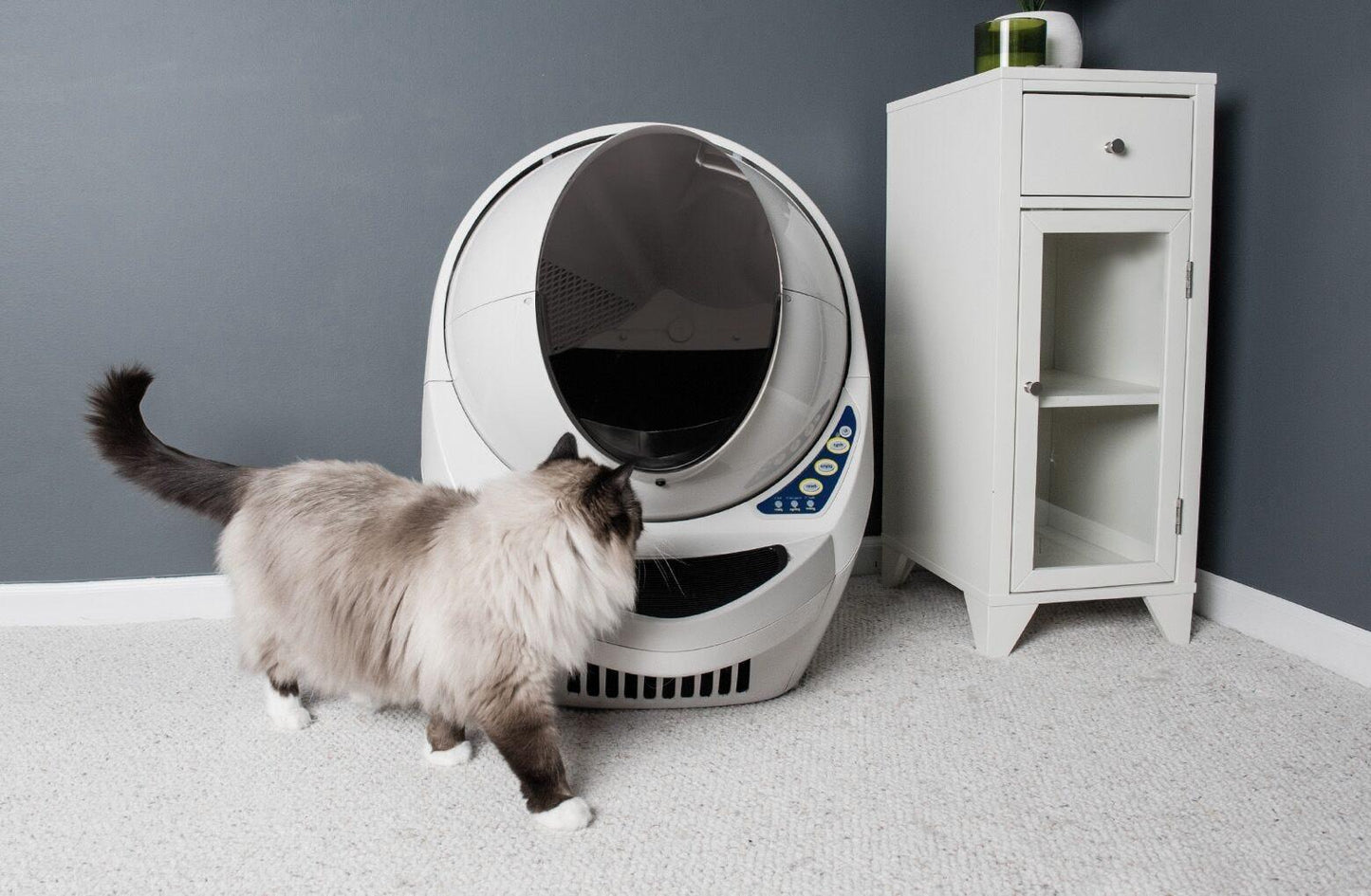 Litter-Robot 3