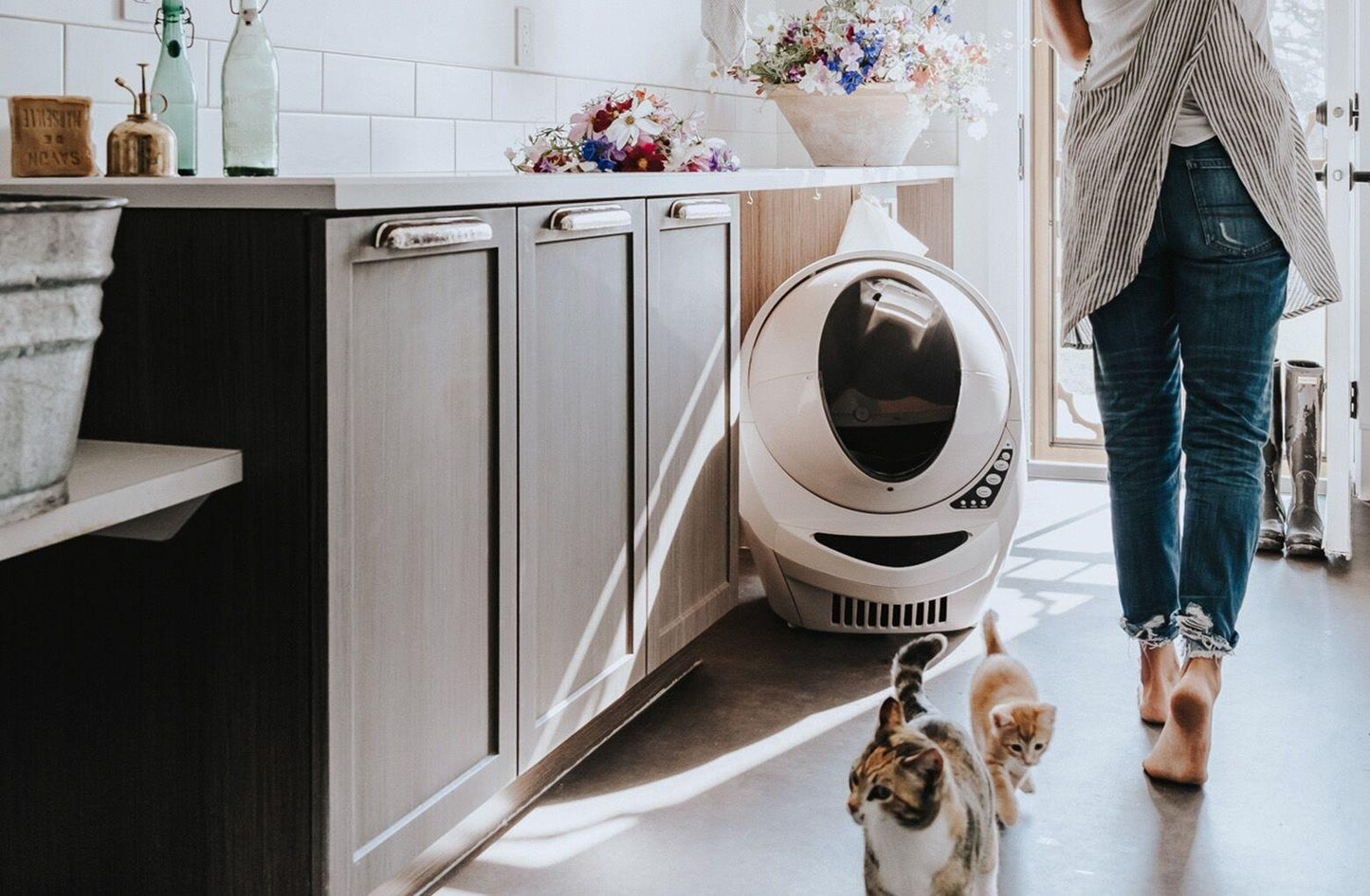 Litter-Robot 3 Connect