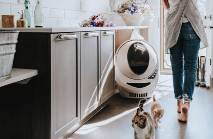 Litter-Robot 3 Connect